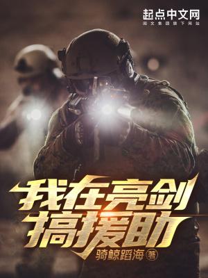 我在亮剑搞援助在线