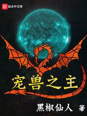 宠兽之主主角的宠兽资料