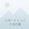 凡人修仙我拥有一个秘境 执酒书白衣
