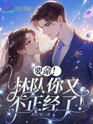 林队长是什么战争电视剧
