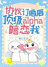 协议结婚后真香免费阅读
