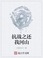抗战之还我河山百度百科