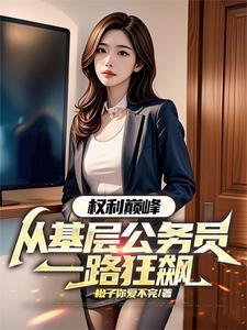 权力巅峰从基层公务员开始王鸿涛免费阅读全文