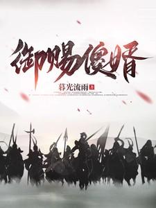 御赐傻婿燕南飞短剧