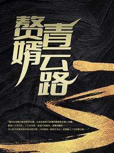赘婿青云路大结局
