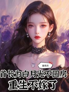 重生不嫁了女主苏念念