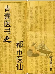青囊医书之都市医仙TXT