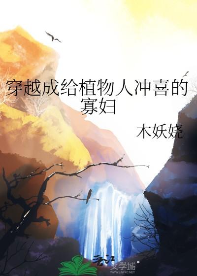 穿成给植物人冲喜的寡妇22 木妖娆 穿成给植物人冲喜的寡妇22 木妖娆