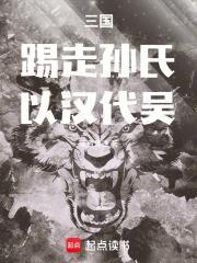 三国踢走孙氏以汉代吴 免费