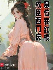 权臣西门庆篡位在红楼txt