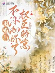 不小心怀了权臣的崽温轻 不小心怀了权臣的崽温轻