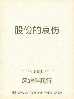 股份意味着什么