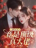 二婚豪门老公老公套路深