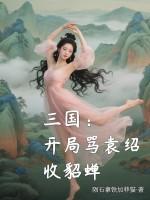 三国开局袁术 三国开局袁术