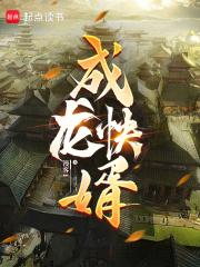 乘龙快婿第四部