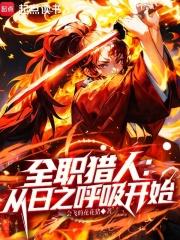 全职猎人从日之呼吸开始书评 全职猎人从日之呼吸开始书评