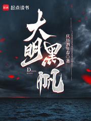 大明黑帆免费阅读全文
