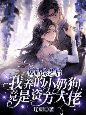 离婚后我火爆娱乐圈 离婚后我火爆娱乐圈