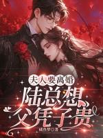 陆夫人只想离婚