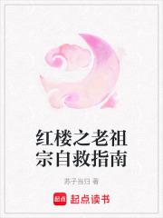 红楼之老祖宗在线捶人