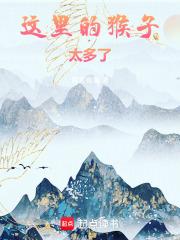 这里的猴子太多了免费阅读