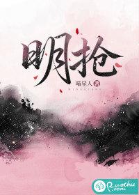 明抢暗偷是什么意思