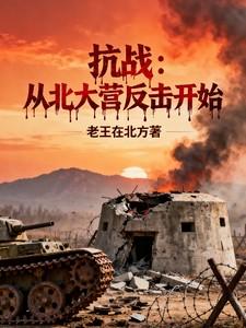 穿越北大营抗日 特种兵