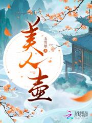 美人壶免费阅读