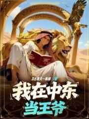 我在中东当王爷评价