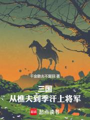 三国从樵夫到季汉上将军无错