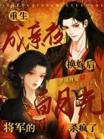 重生将军新婚夜