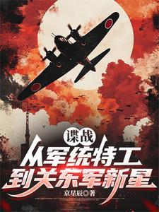 军统谍战剧 军统谍战剧