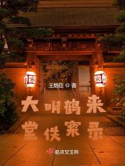 大明鹤来堂佚案录讲的什么