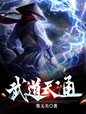 武道天通全集