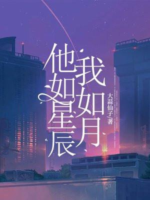 他如星辰我如月全文免费阅读