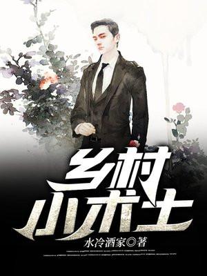 乡村小术士清风作者还我