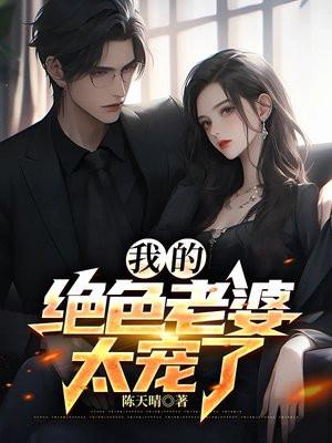 我的绝色老婆是特工