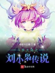 斗罗大陆之刘小枭传说时光荏苒钟第八魂技