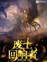 废土回响者评价
