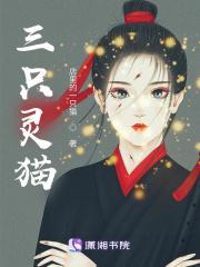 三只猫有什么说法