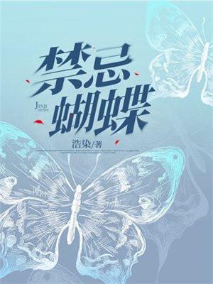 禁忌蝴蝶夏小酒