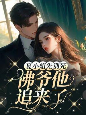 夏小姐陆先生
