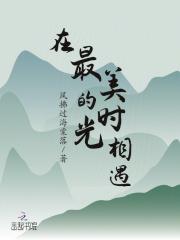 在最美的时光里遇见了你是什么歌
