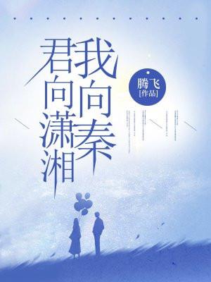 君向潇湘我向秦歌词