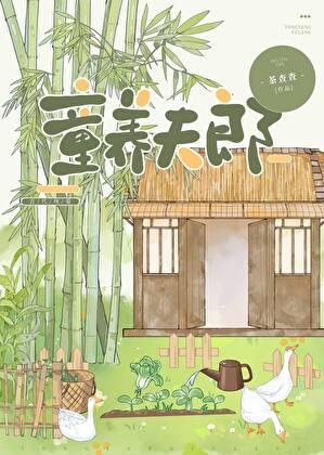 裴家夫郎全文