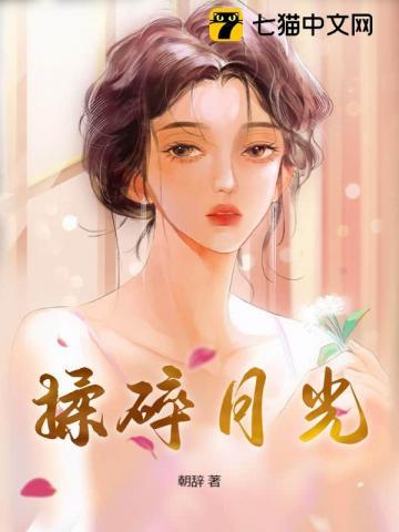 揉碎月光笔趣阁双男主