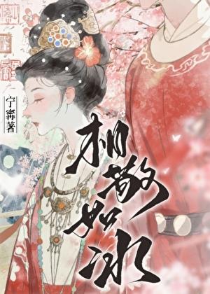 相敬如冰宁寗txt