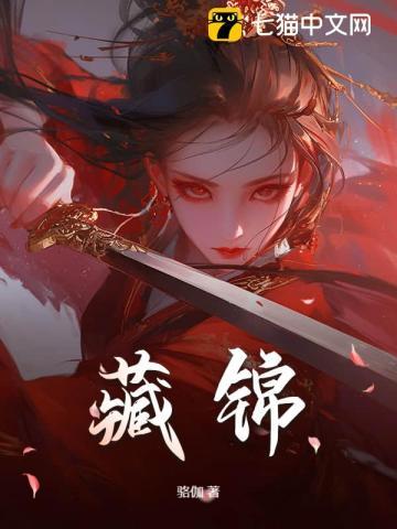 藏锦 藏锦